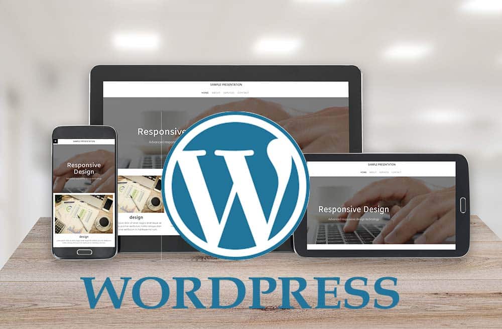 Get custom website development and design for your Tucson business from Professional WordPress developers. Contact Salterra today at (520) 214-3729 to boost your online presence and drive business success. Ensure your website stands out and converts.